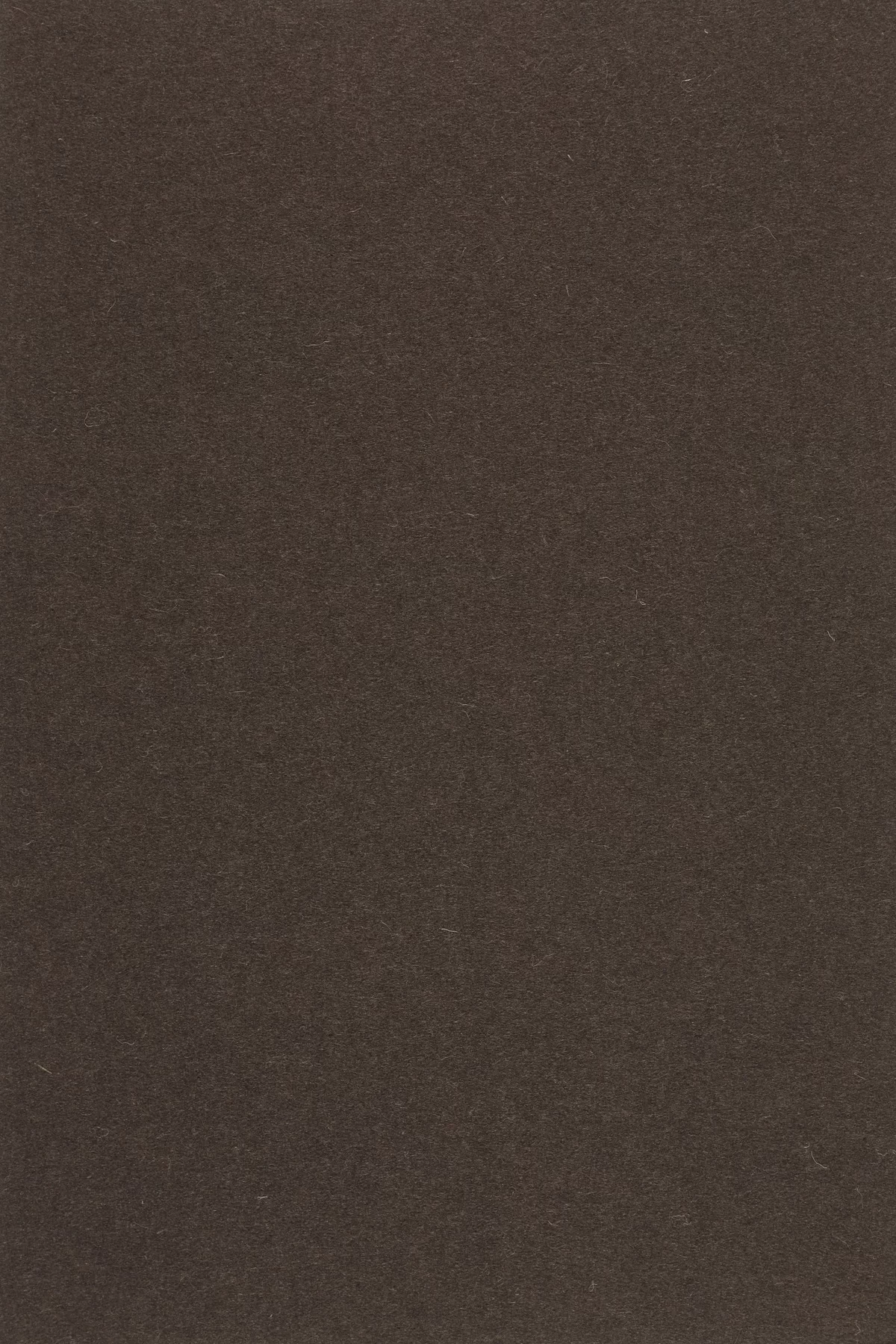 Fabric sample Divina 3 393 brown